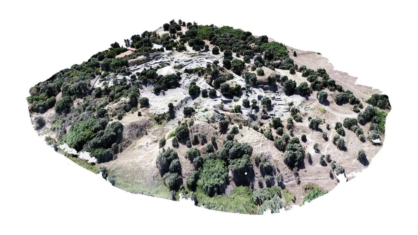 3D feature model of a vegetated hill 3D feature model of a vegetated hill